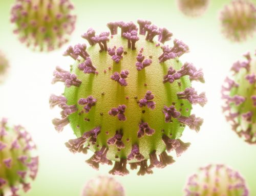 Qual è il rapporto tra polvere e diffusione dei virus negli ambienti indoor?